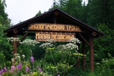 ����������� ������� ����� � ������� ������� �� ����������� �������� �������