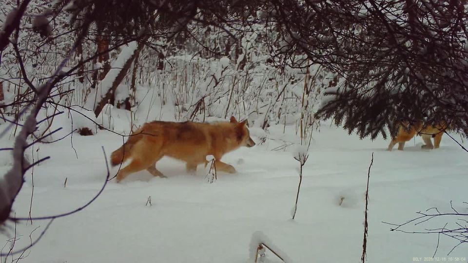 ������������ ����� ���� �������� ����� ������ � ����������� ��������