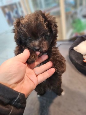 �� ������ ���������� ����� ����� ������ � �������