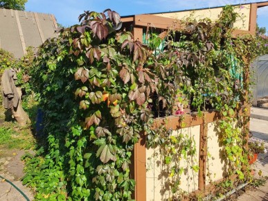 ��������, �� �������: 10 ��������, �� ������� ������ ����������