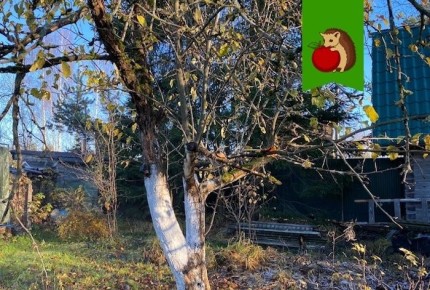 ���������� ������ ������: ��� ������� �� ����������� ����