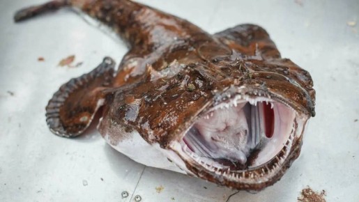 � ��������� ��������� ������� ������� ������