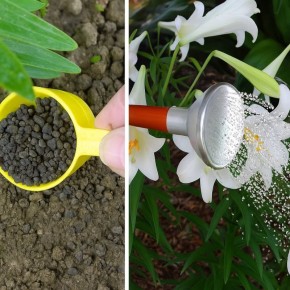 ��� ���������� ����� � ���� ��� ������� �������� �� �����