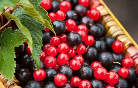 ���������: ���������� ��� �������� � ���������� ��������