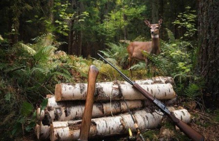 �������� �������! ������� ����������� ������� ����������, ��� ������ �� ���������� ������ ��������� ��������