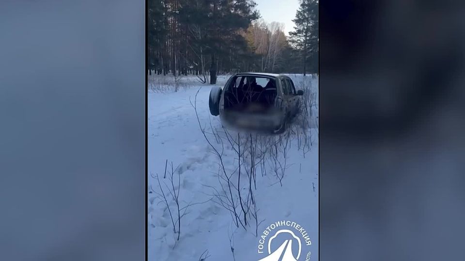 �� ������� ����������� � ������������ ������� ����������������� �������� ���� ���������� �����