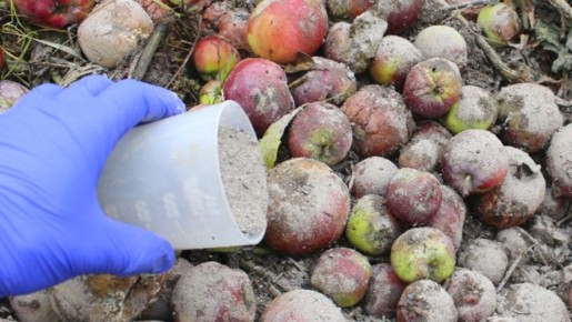 ����� ��������� �� ������ � ������ ������ � ����� ������ �� ����� ��� ����