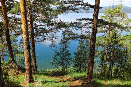 ������������� ������ ������� ��������� ��������������� �� ����� ����