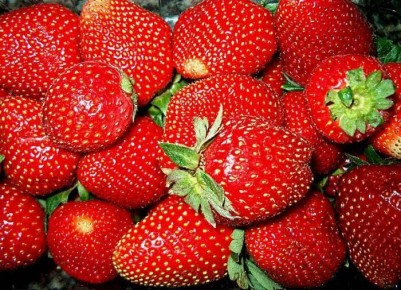 ����������� ��������� ��� �������� ������