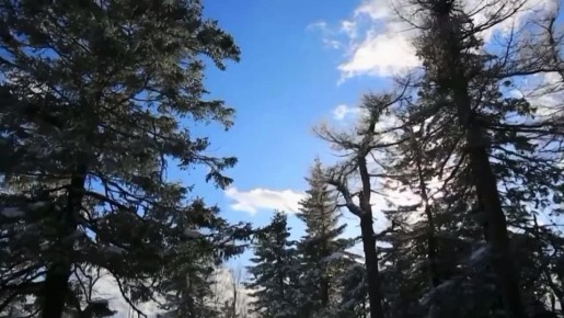 �� � ��� � �������� ���������