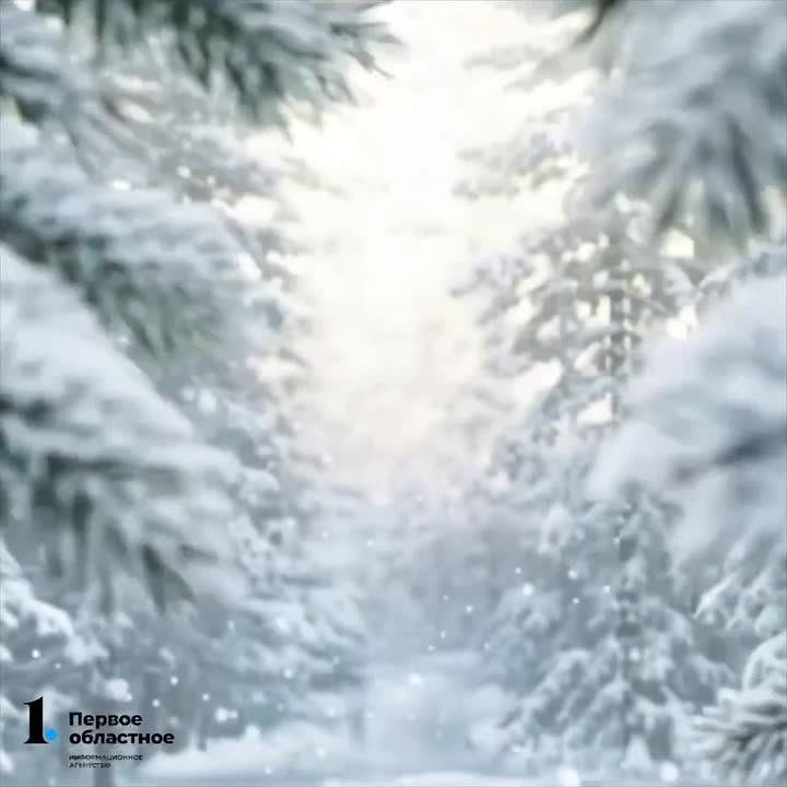 ������ 6 ������� � ����������