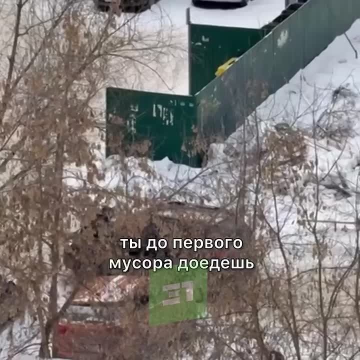 ���� ������, ������ ������