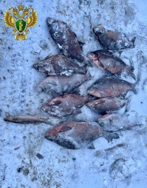 ������ ������ ������� � ���� �� ���������� ������� �� ����������� �������������