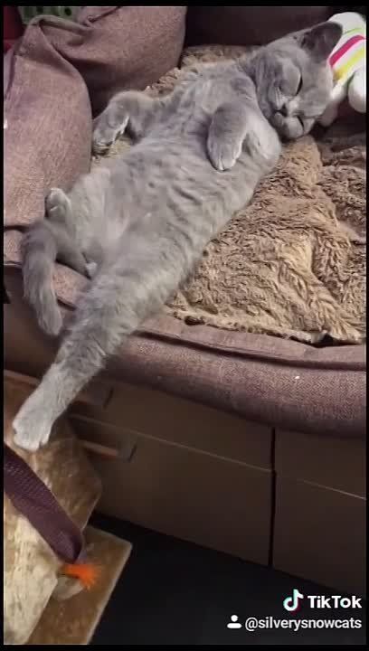 #������������31. ���� ������� ������ ���� �������, ������� ������, ��� �������������� �� ��� ������� ������ �����, ������������� � �������� ������� �������� �������!