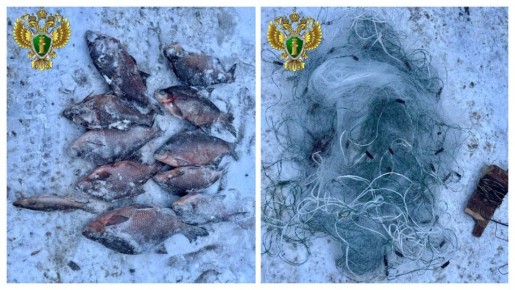 ������ ������� ��� ��� �� ���������� ������� �� ����������� �������������