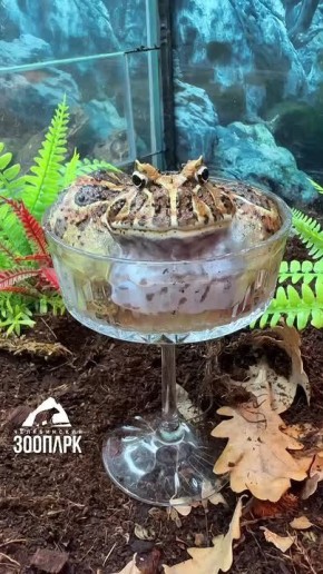 ������� ����������� ����� �� ������������ ��������