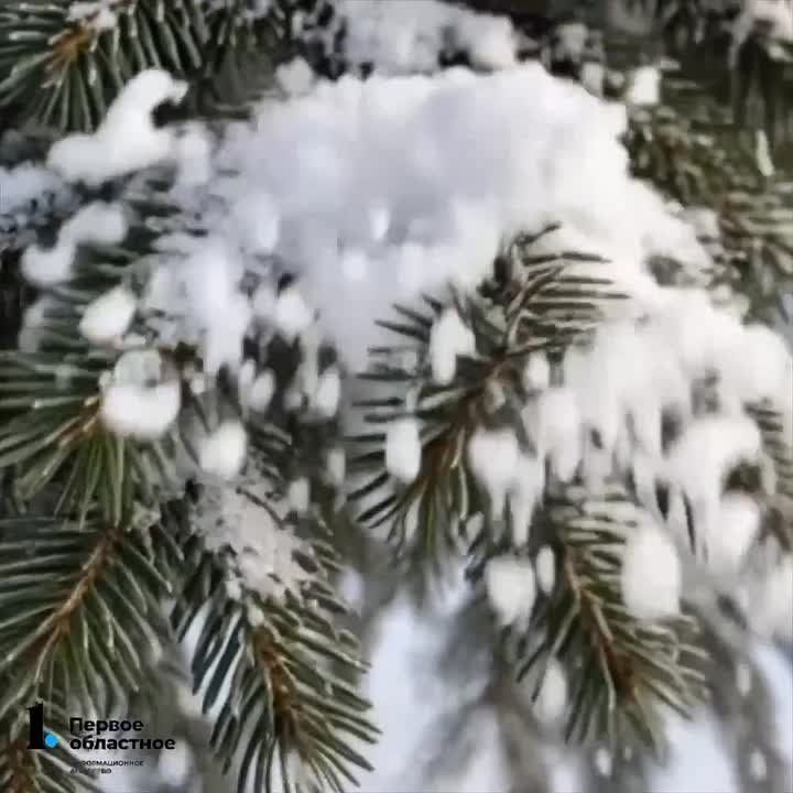 ������� ������ ��������� ������ � ������