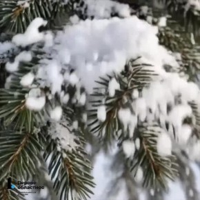 ������� ������ ��������� ������ � ������