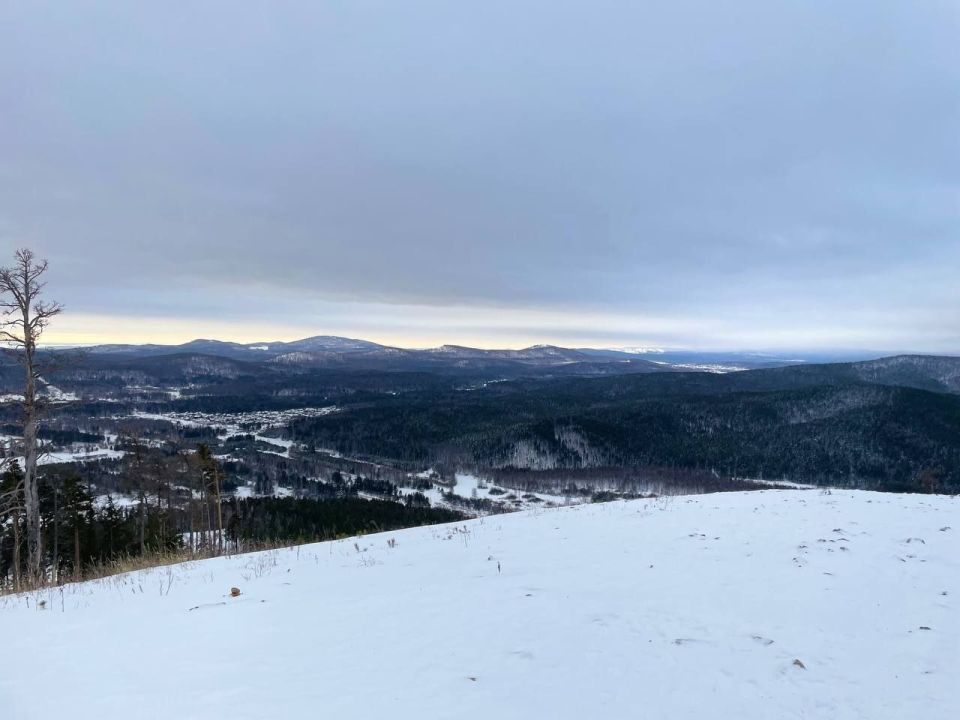 ������������ ����� ����. �����: �������� Blackberry