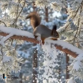 �������� ����������� � ����������