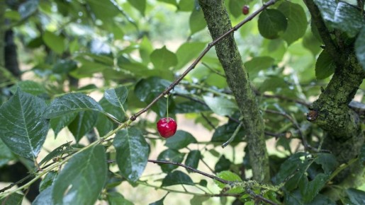 �������� ������ ������ �������� �������� �����: ������� ����� �� ������� ����� ����� ������