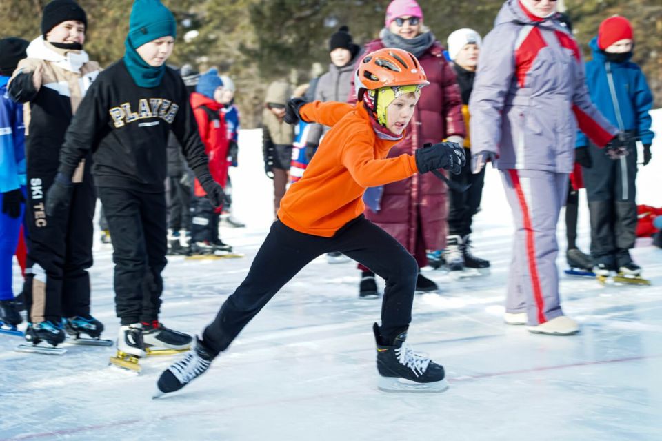 � ���������� ������ ������������� ������������ ���� ������� �����