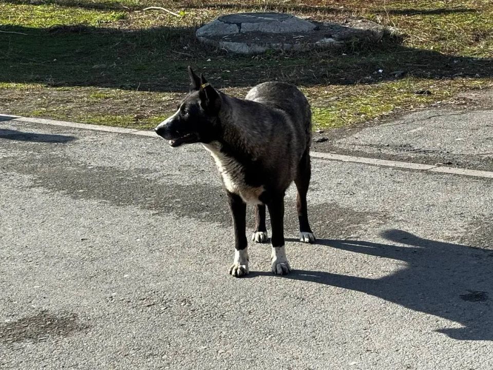 � �������� ������������ ����� ��������� �����