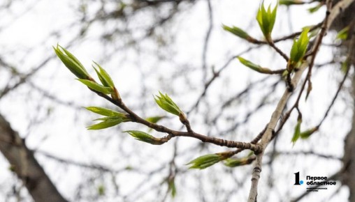 �����-2026 �� ����� ����� ����� ����� � ��������� ������