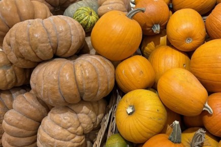 �����: ��� ������� ���� �� ����� � ���� ������