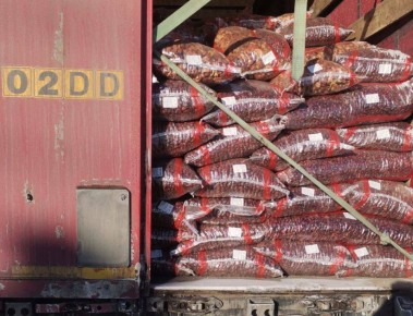 45 ���� ����������� � ������ �� ���������� ����� ����������� �������