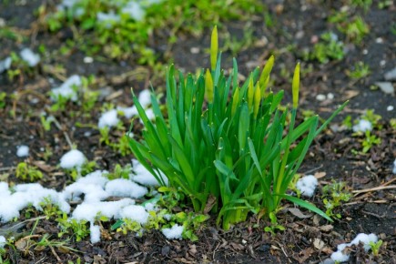 ������������ ������������ � ������������� � ������ �����