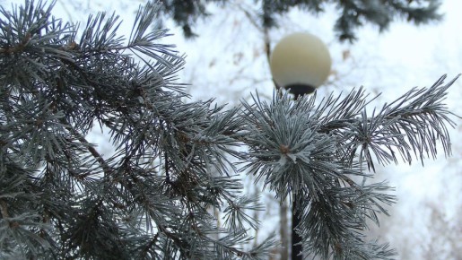 ����� �� -27�C: ����������� ������� ���� �����������