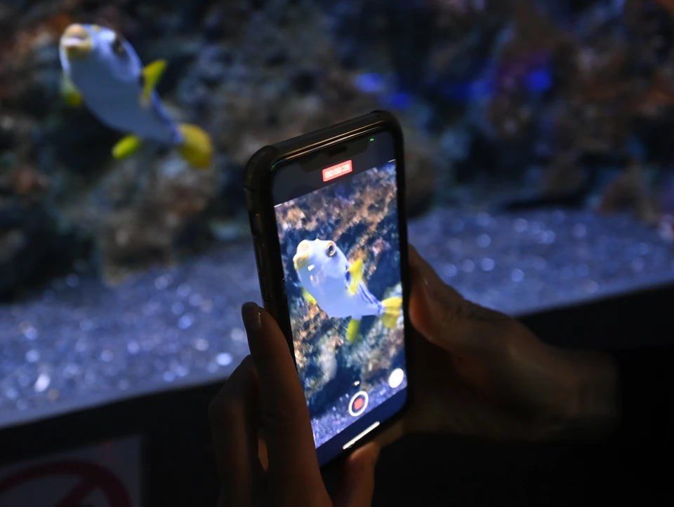 ���������� ����������������� �� ���������� ������������ ������ ���������� � ����������� ������� � ������ ������� � ��������� ���������� ��� � ����������� ��������, ������������� �������� ������