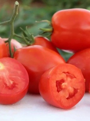 ����� ������ ������: �������� ����� � ���������� ������ ��� ������ �����