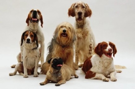 ������� ������� ������� ������������ ���������� ������� �� �������� ��������� � ���������