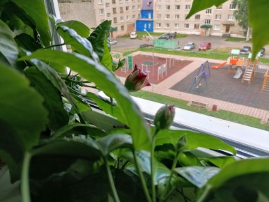 �������� ���: ����� �������� �������� � �� ����