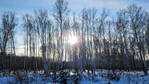 ����������� ������� ���� ������ ���������� ����� �������