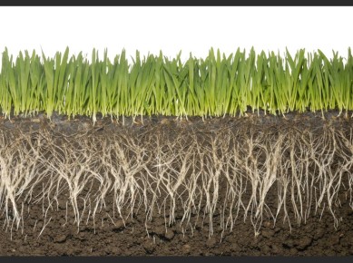 ��� ������������� ��������� ���������� �����: ����� ������ ���������