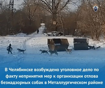 � ���������� ���������� ��������� ���� �� ����� ���������� ��� � ����������� ������ ������������ ����� � ���������������� ������