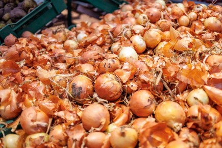 �� ����� ����� ������������� 165 ���� ��������������� ������� � ������