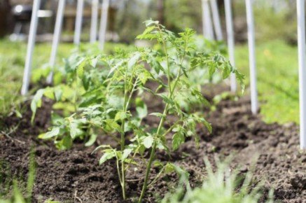 ������ ���������� ��� ������ � ���� ����� � ������� � ���������?