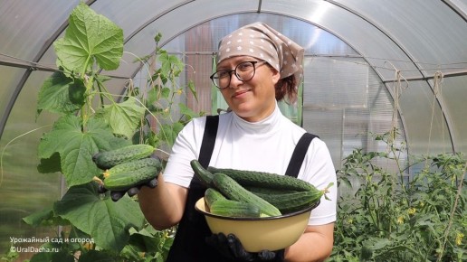 ����������� ����������� ����� ������ ��� �������� ������