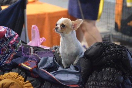 ������ ������� ���� ���������� ���������� ���� ����� �������� ������