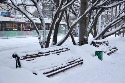 ������ ����!. ������� 12 �������, �������