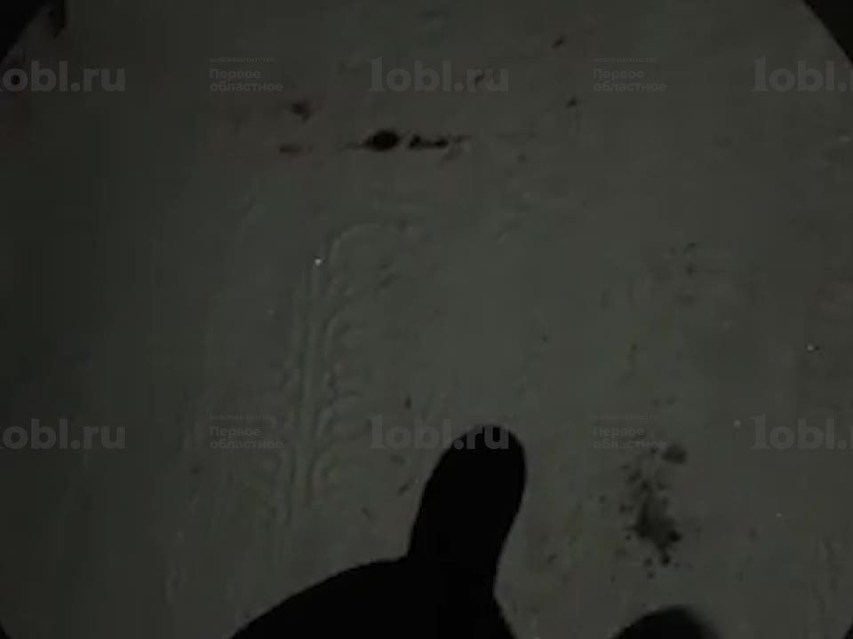 ������ ������� ������� � ������ �� �������� ��������