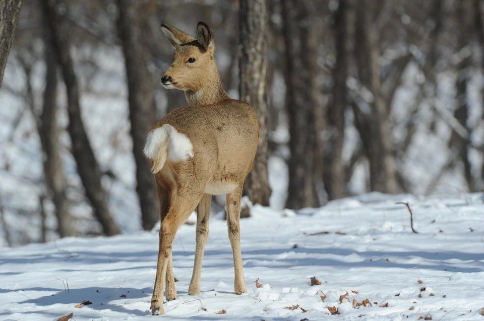 � ������� ���������� ���������������� ������ �������� ������ ������