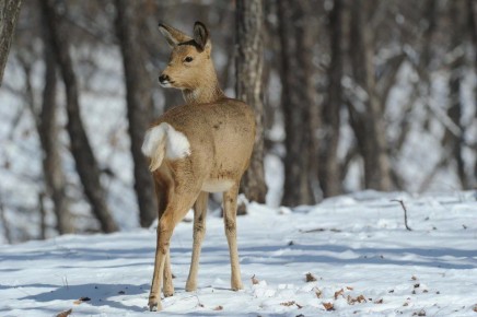 � ������� ���������� ���������������� ������ �������� ������ ������