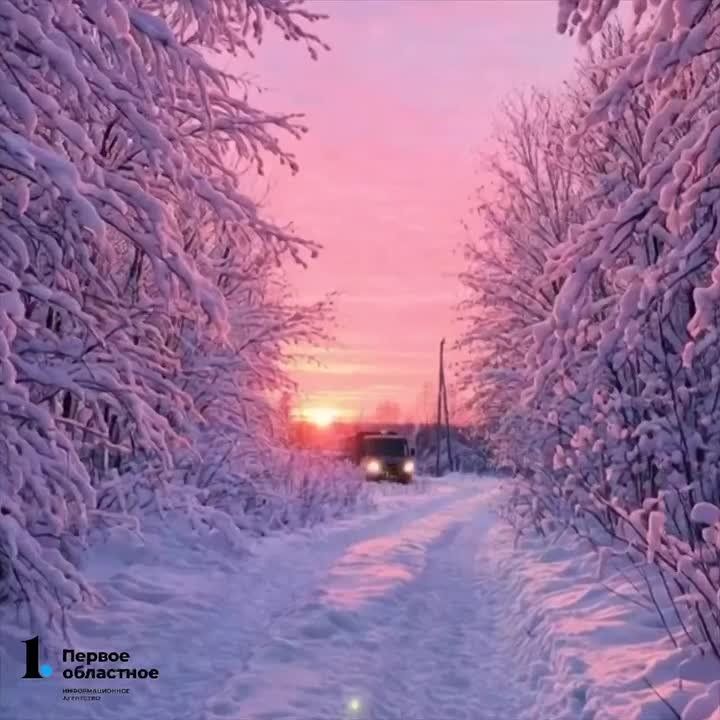 ������ ���������� ���������