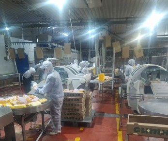 ������������ �������������� �������� �������� � ������� ������� �������� � �������� ��������, � � ������������ ������� � � ����������