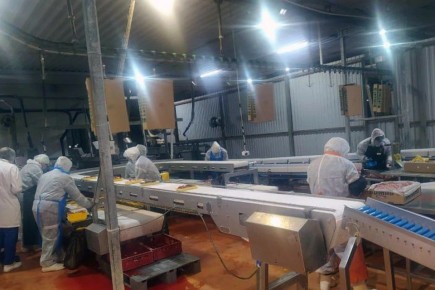 ���������������� ������ ������������ ��������� �������������� ��������������� ���������